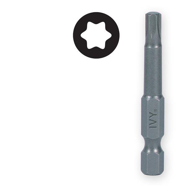 Torx Power Bits (2in Long)